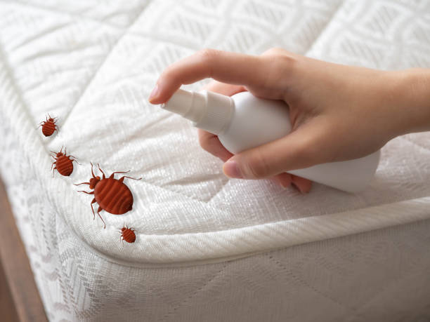 Best Emergency Pest Control  in Ontario, CA